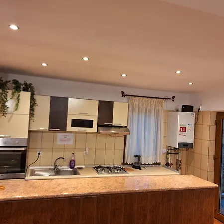 Holiday home Casa Iulian