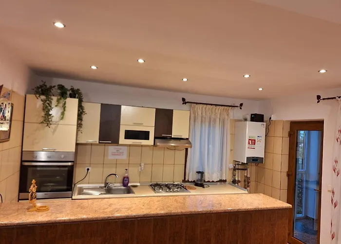 Holiday home Casa Iulian